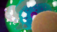 Screenshot #5