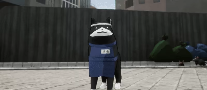 Nekogumi video 1
