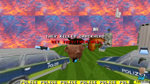 Funi Raccoon Game