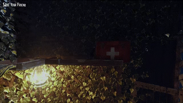 PHi video 6