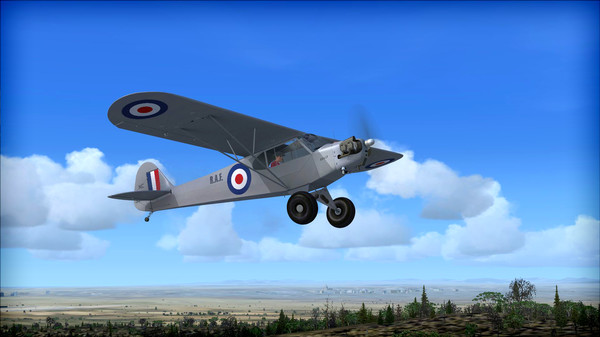 FSX: Steam Edition - Piper J-3 Cub Add-On