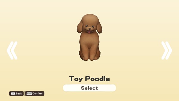 DORONKO WANKO - Toy Poodle