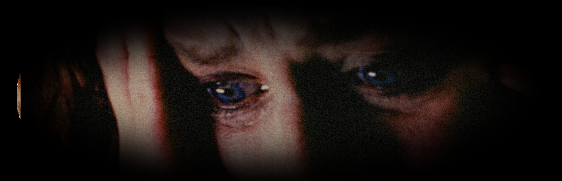 FMV - Full Motion Voyeur
