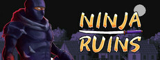 Ninja Ruins