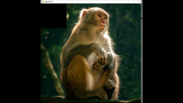 hgmGame-monkey screenshot 2