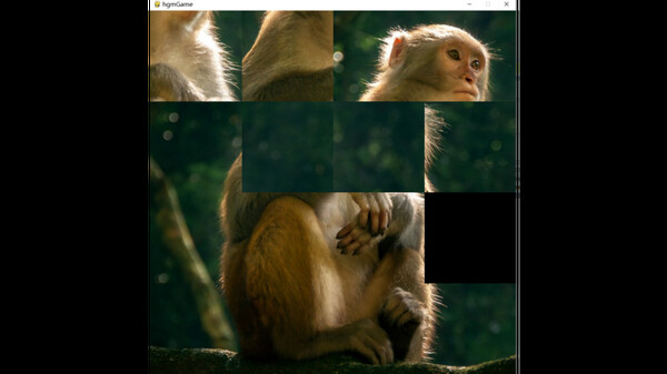 hgmGame-monkey screenshot 5