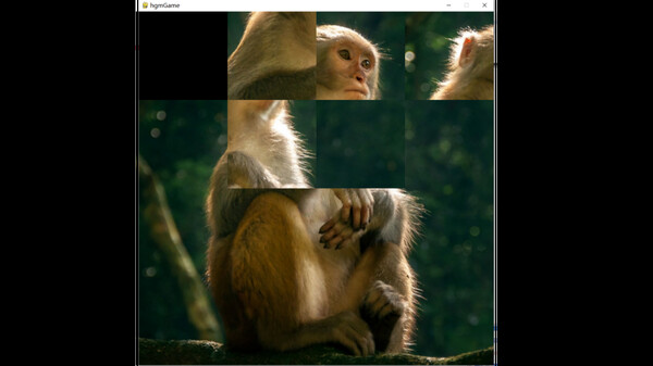 hgmGame-monkey screenshot 3