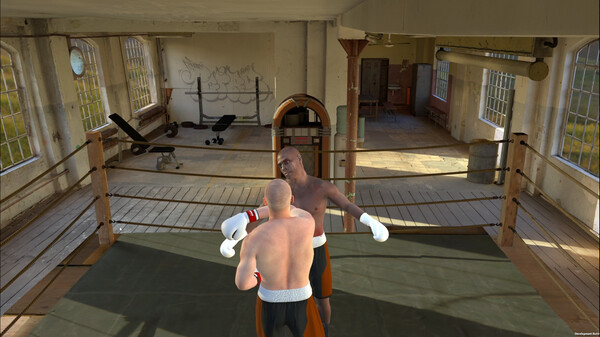 Скриншот из Boxing Underdog PC App