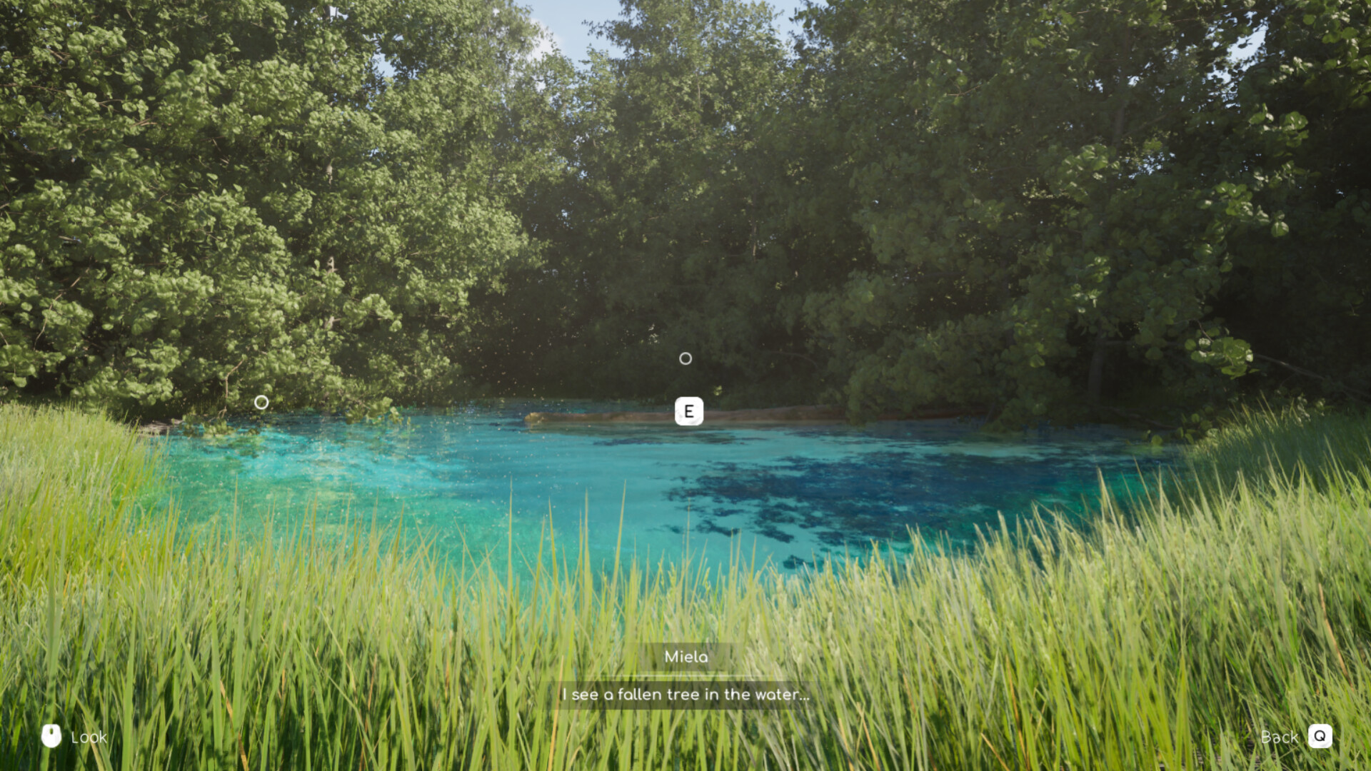 Arcadian Days screenshot #5