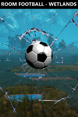 ROOM FOOTBALL: Wetlands cover art
