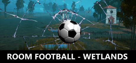 Image for ROOM FOOTBALL - Wetlands
