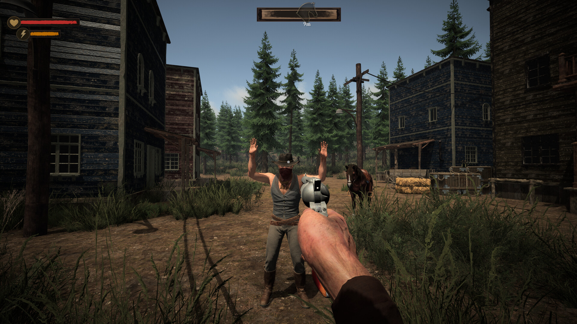 Western Justice screenshot 1