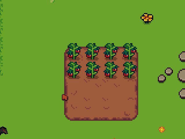 Sunset Sprout video 2