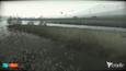 Screenshot #7