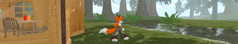 Taiwan Coolfox video 2