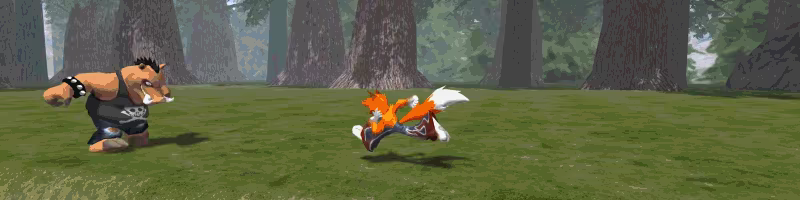 Taiwan Coolfox video 3