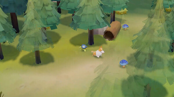 HomeStray screenshot 2