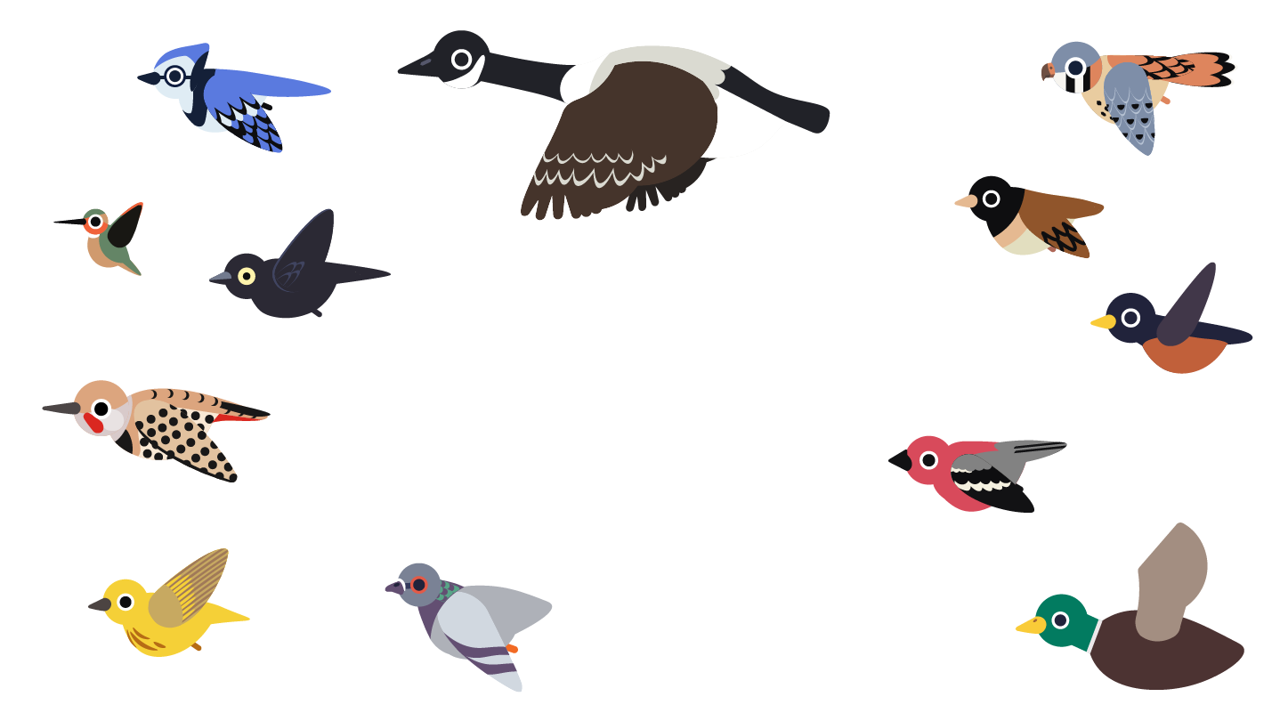 Hero media