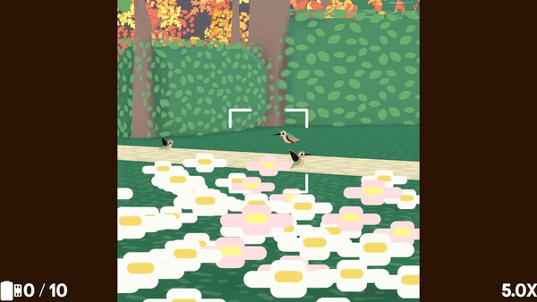 Flock Around screenshot