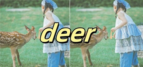 deer cover art