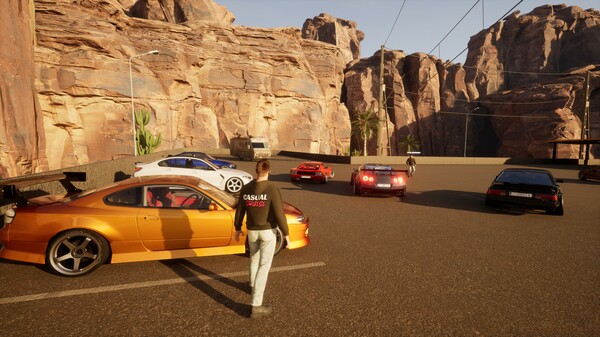 Casual Cruise screenshot 1