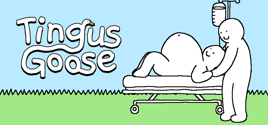 Tingus Goose cover art