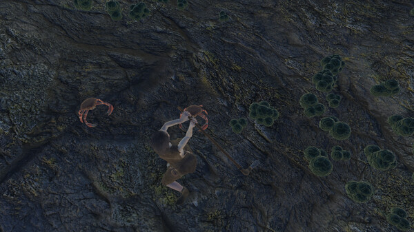 Screenshot 2 of Skara - additional gameplay view