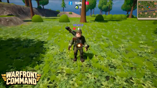 Warfront Command Demo
