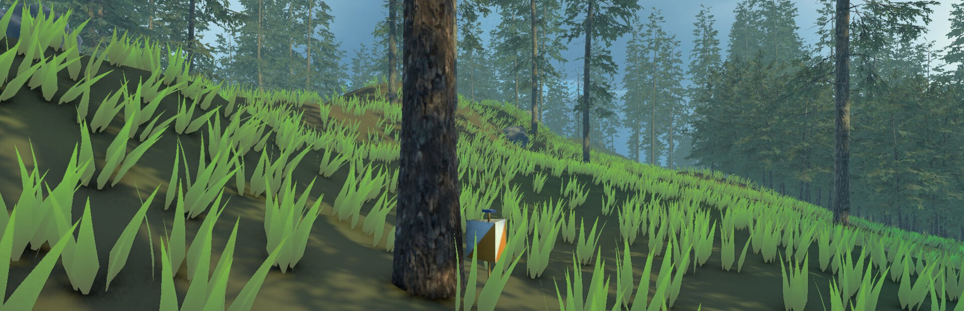 Orienteering VR