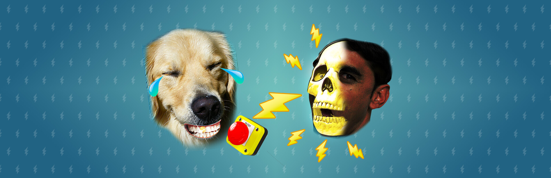 STREAMER, DOG, SHOCKER