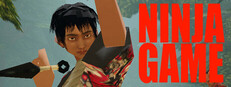 Ninja Game