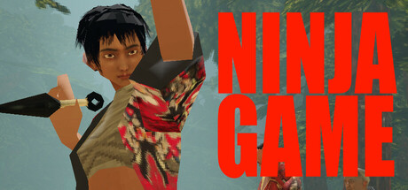 Image for Ninja Game