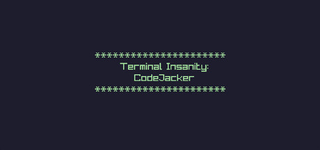 Terminal Insanity: CodeJacker header art