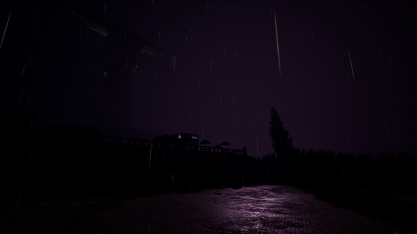 Corcovado's Night Guard.