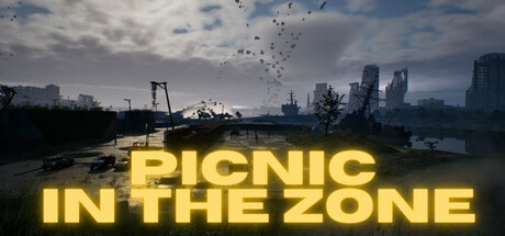 Picnic In The Zone cover art