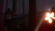 Screenshot #10