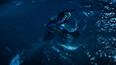Screenshot #8
