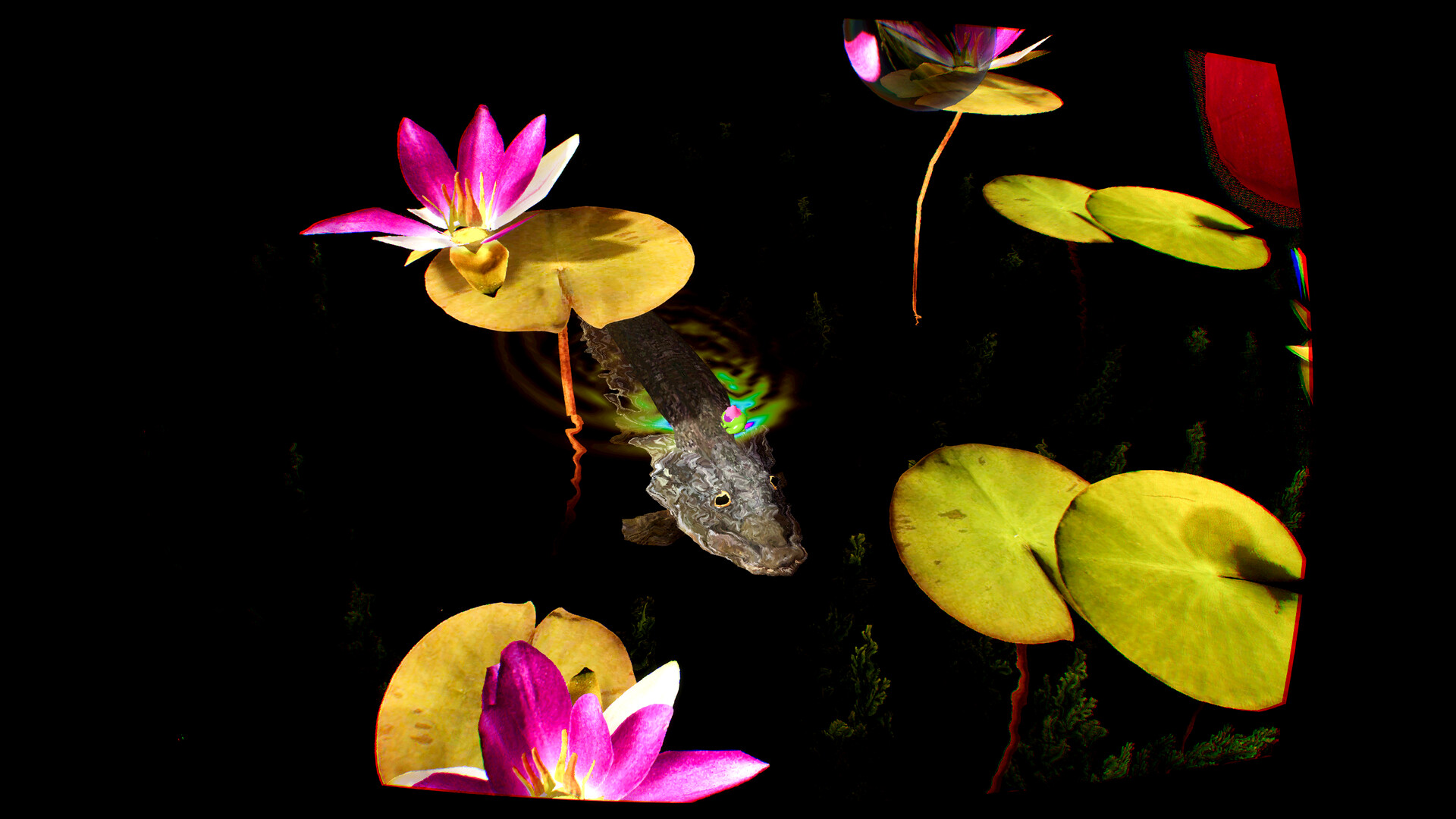 Grenouilles 3D screenshot 1