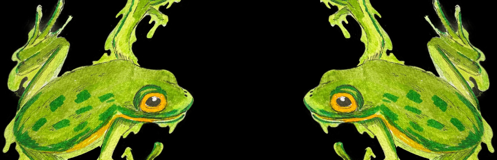 Grenouilles 3D
