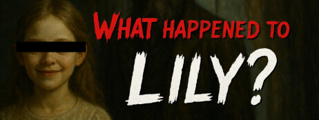 What Happened to Lily? cover art