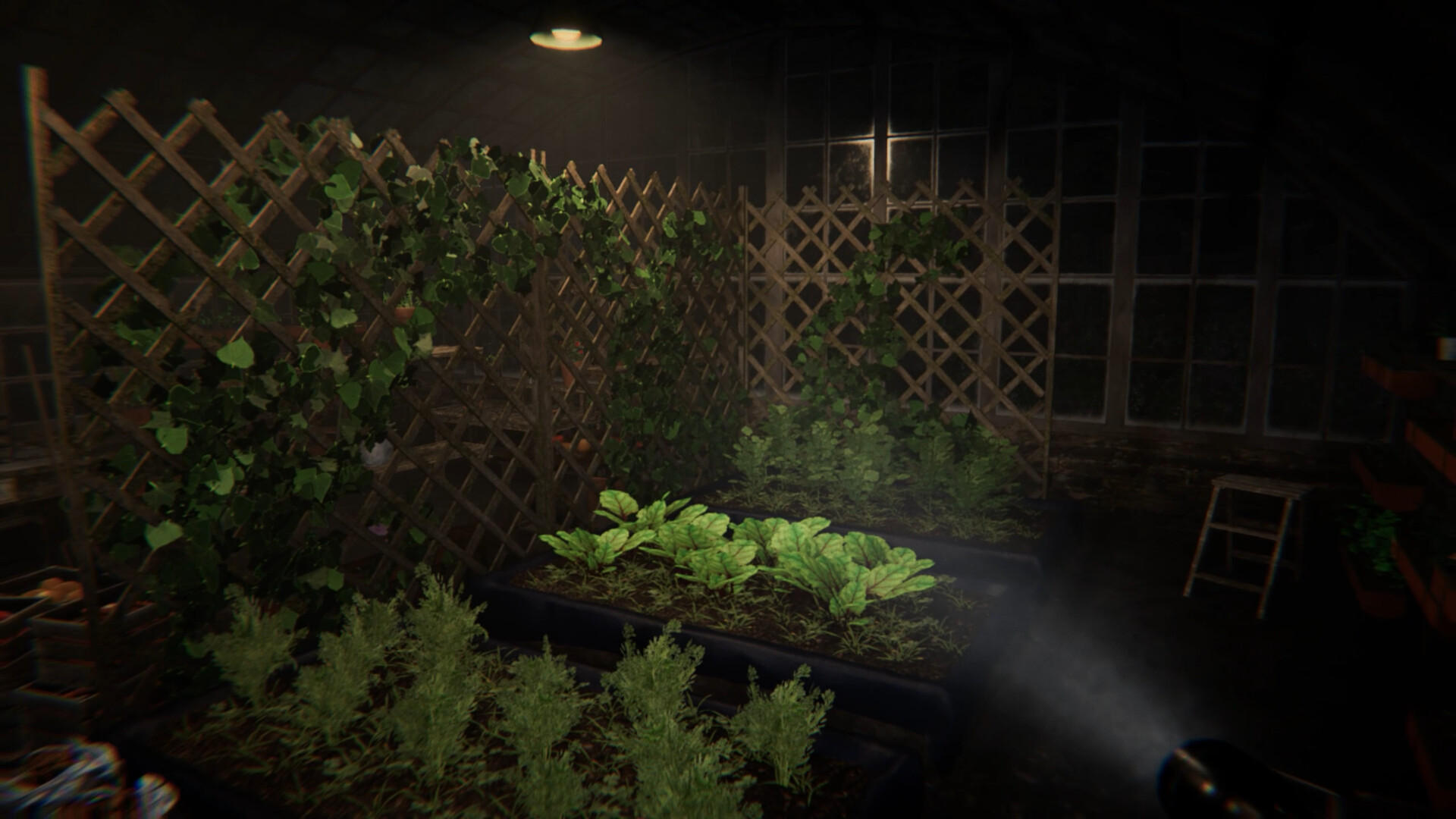 The Wellmonts Case screenshot #8