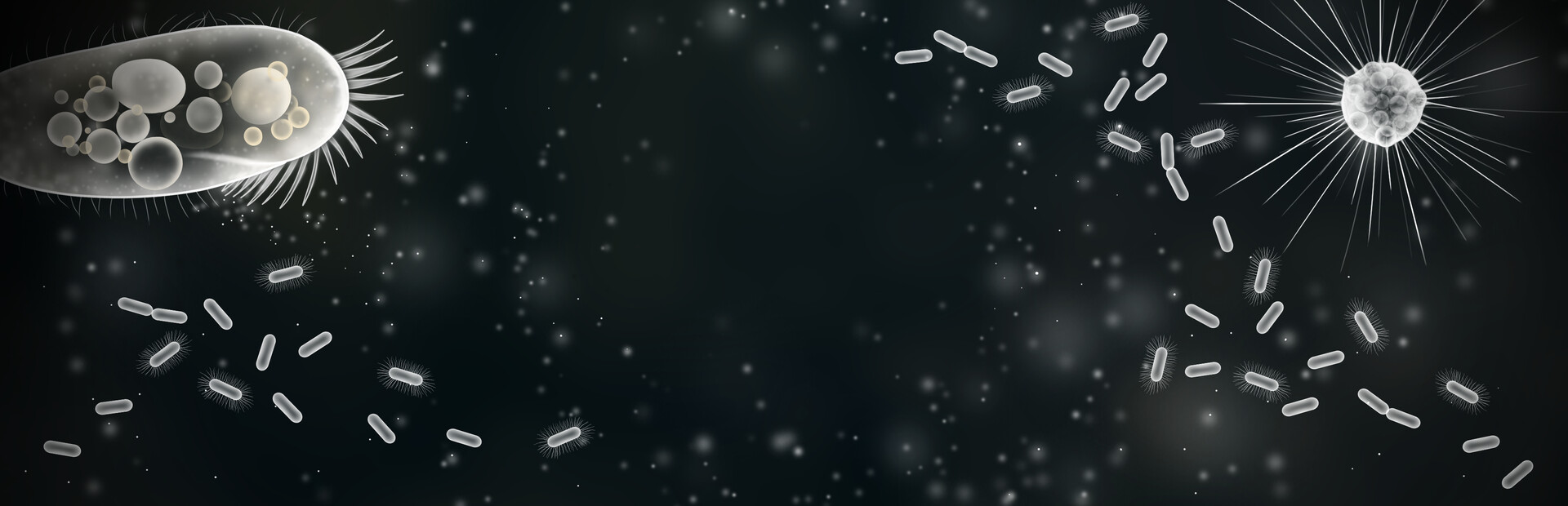 Cellscape