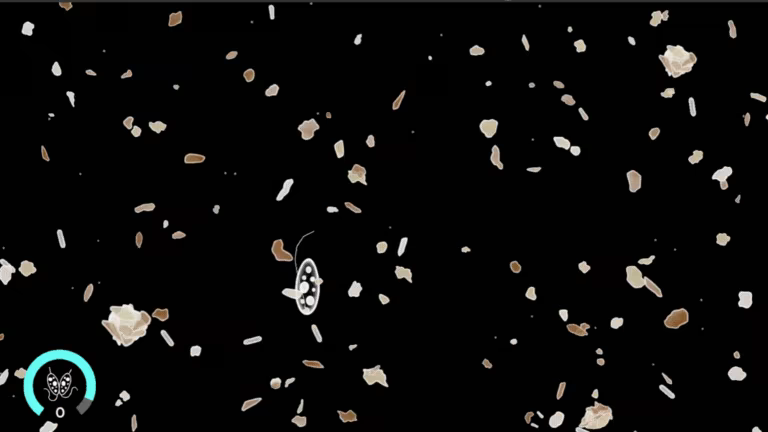 Cellscape video 1