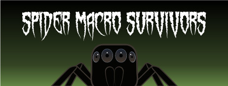 Spider Macro Survivors cover art