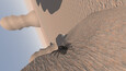 Screenshot #7