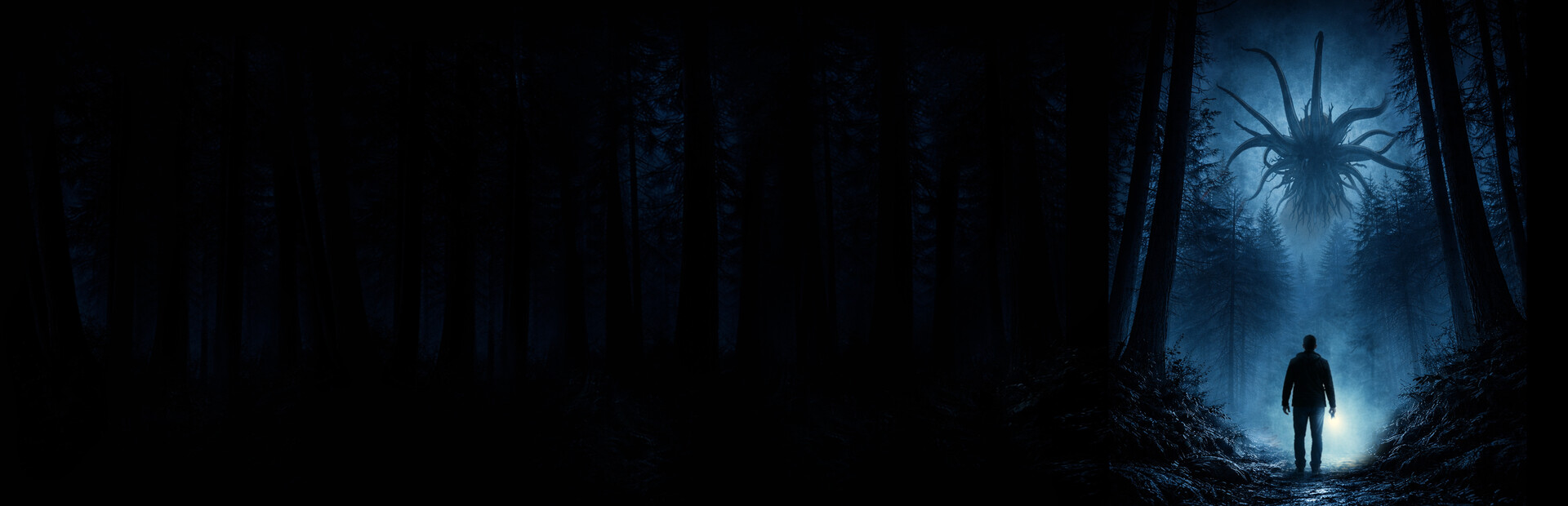 Netherwake