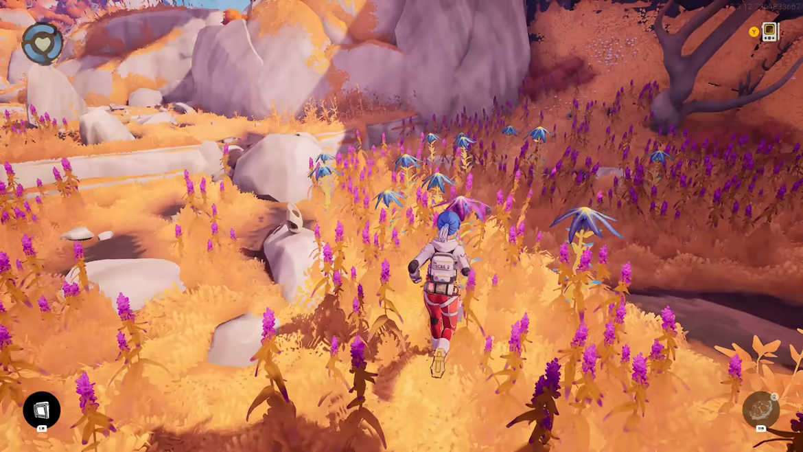 Stranded video 3