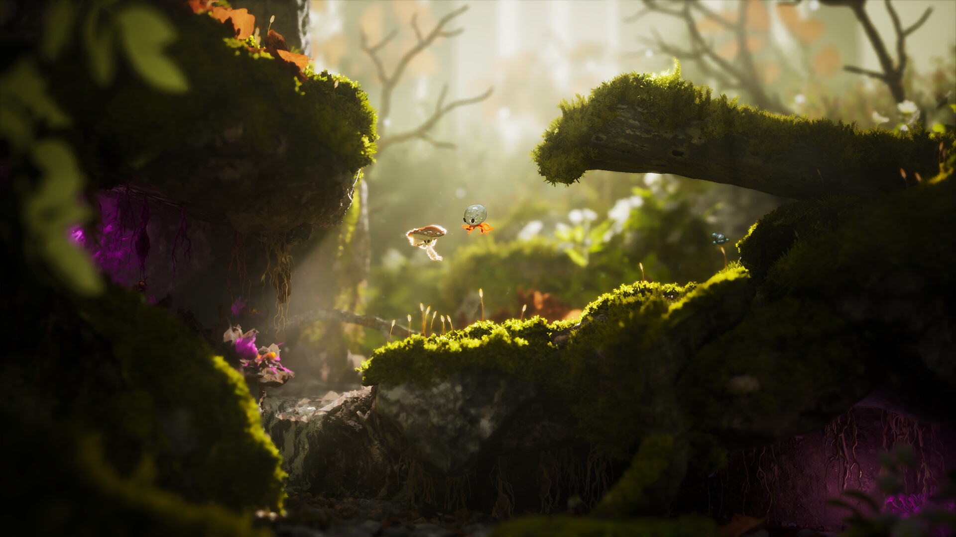 Dew screenshot #5