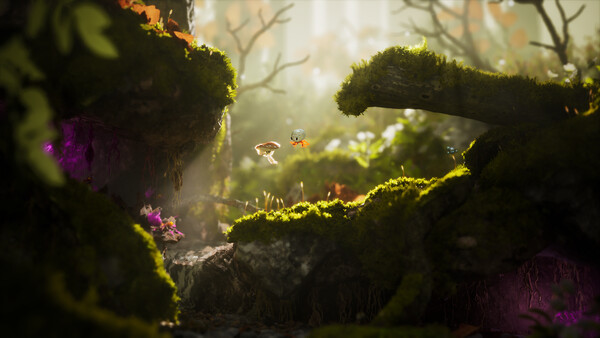 Dew screenshot 5