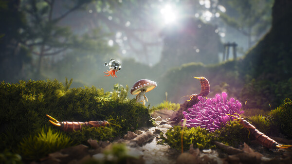 Dew screenshot 1